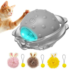 FelineFun LED Light & Bird Sound Rolling Ball - Universal Fave